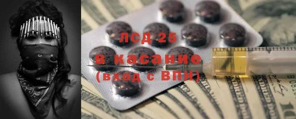 гашик Горняк