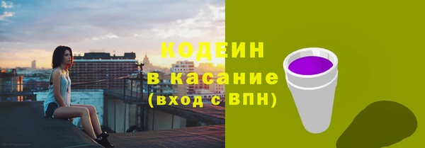 гашик Горняк