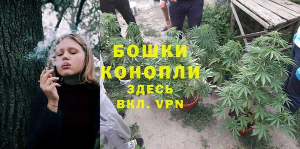 дживик Гусиноозёрск