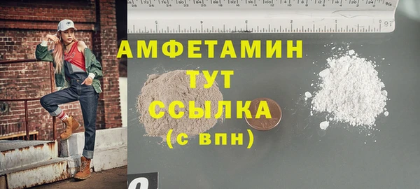 гашик Горняк
