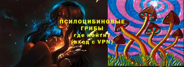 гашик Горняк