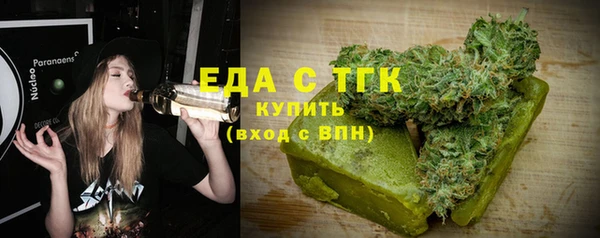 гашик Горняк